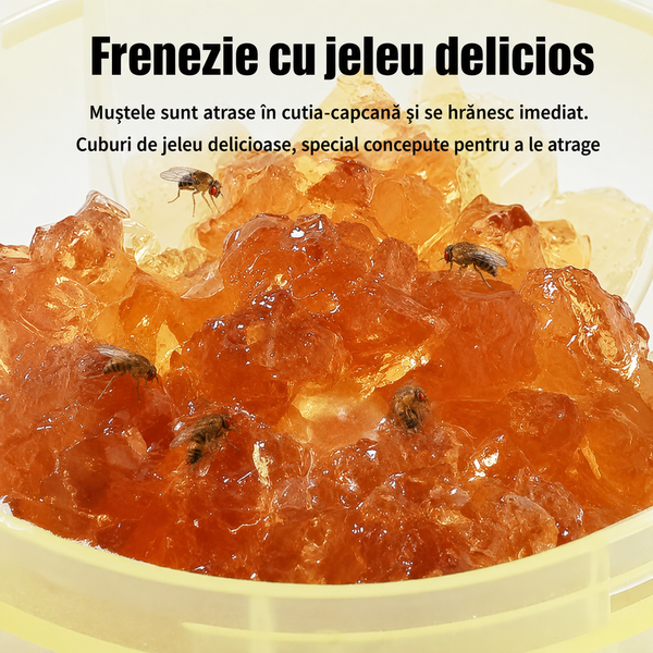 Capcană Rapidă pentru Muște de Fructe