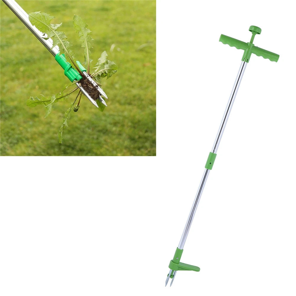 Instrument de Scos Burieni