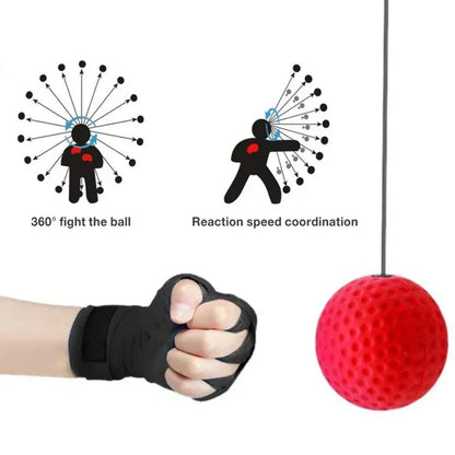 Minge Antrenament Reflexe Exercitii Box